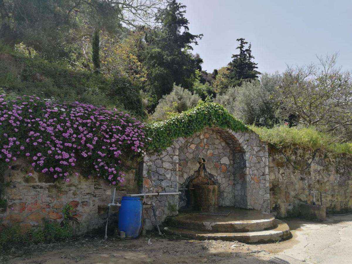 Batilas Garden House Kissamos Ngoại thất bức ảnh